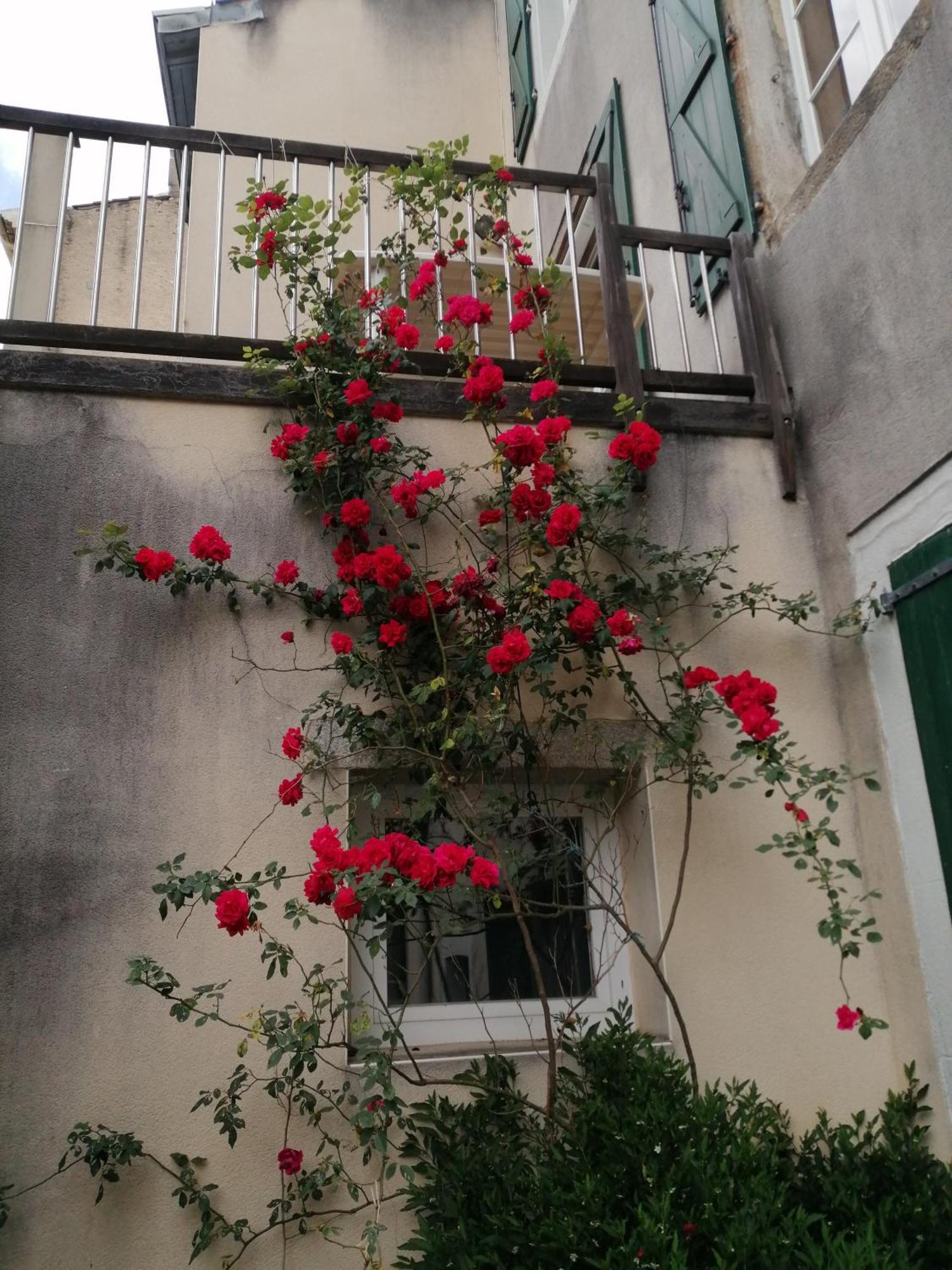 Maison Alba La Source Mazamet Kültér fotó